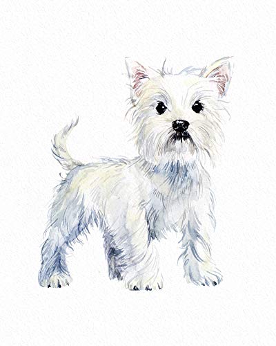 7Dots Art. Cute Dogs. Watercolor Art Print, poster 8"x10" on Fine Art thick Watercolor paper for living room, bedroom, bathroom. Dogs Wall art decor. (west highland white terrier)