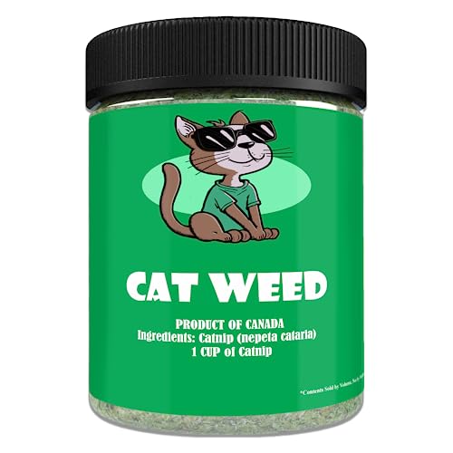 Cat Crack Catnip Los 15 mejores productos comparados Wild Explicado