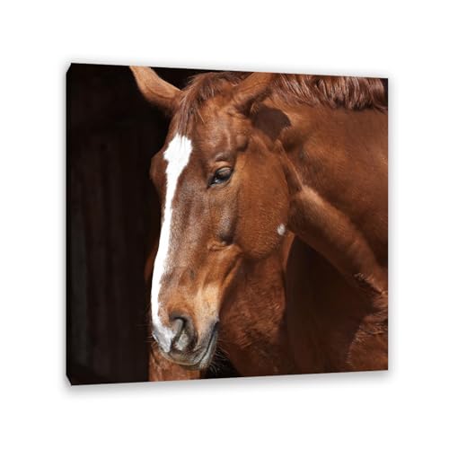 Tableau animaux toile cheval sauvage noir et blanc 20x20cm