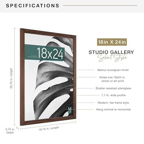 MCS Studio Gallery 18x24 Poster Frame Walnut Woodgrain, Vertical & Horizontal Wall Hanging Large Picture Frame for Photos, Posters & Art Prints (1-Pack)
