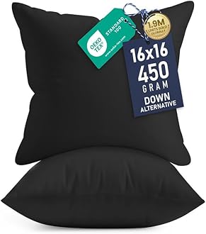 Throw Pillows Insert (Pack of 2, Black) - 16 x 16 Inches Bed and Couch Pillows - Indoor Decorative Pillows