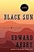 BLK SUN (Harper Perennial Modern Classics)