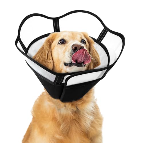 10 Best Dog Cone To Stop Licking Paws