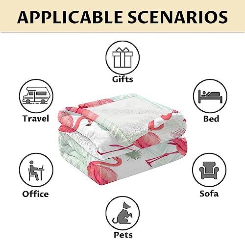 Flamingo Blanket Gifts - 30x40 Inches Cute Throw for Women & Girls - Pink Soft Fuzzy Blankets for Couch & Office