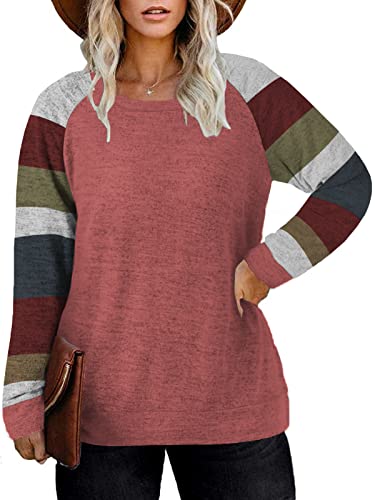 DOLNINE Plus Size Sweatshirts for Women Long Sleeve Oversized Tunic Tops2