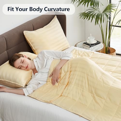 Image of Weighted Blanket Queen Size (60 inchx80 inch 12lbs),Ultra Soft and Cozy Cooling Weighted Blanket Queen Size for Adult,Heavy Blanket with Machine Washable Soft Blanket, Beige