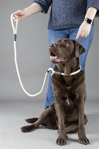 Flamingo Dog Anti-pull leash Lago Beige 1,7m 12mm - Image 2