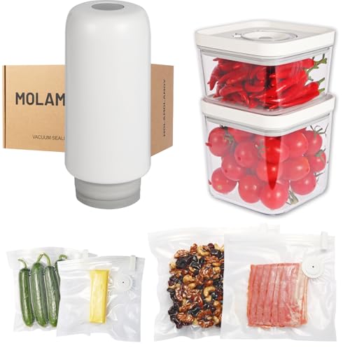 2025 New Handheld Vacuum Sealer for Food storage, Sous Vide