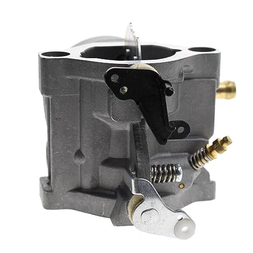 Carburateur Briggs Stratton 793224 évite les fuites d'essence de tracteur tondeuse