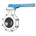 SPEARS 8 PVC POOL BUTTERFLY VALVE W/HDL EPDM