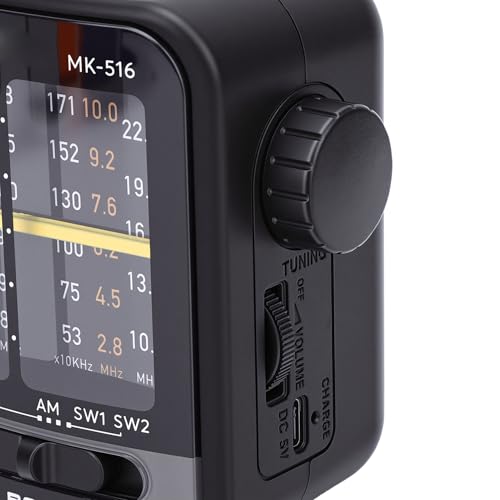 Radio portátil AM FM SW con antena retráctil y batería miniatura 7