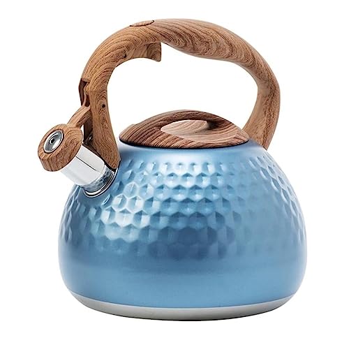 Bouilloire à sifflet induction en inox 2,8 L avec fond thermique rapide