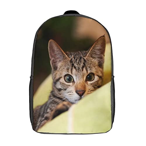Sac à dos chat 17 pouces robuste contre les fermetures cassées à l'école
