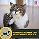 Ohrentropfen für Katzen • Ohrreiniger Katze • Ohrentropfen bei Juckreiz • Ohrenspülung Kamille • Katzen Ohrenreiniger bei Ohrenentzündung - Milde Ohr Reinigung Schmutz & Ohrenschmalz Entferner 2x0,1l