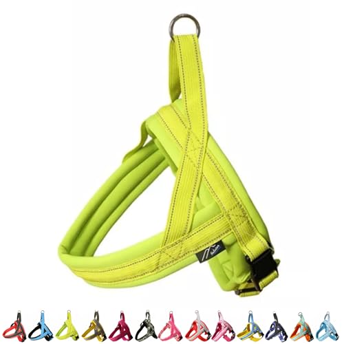 Hakusan(nNT) rbgn[lX (TCY0, C×CG[)