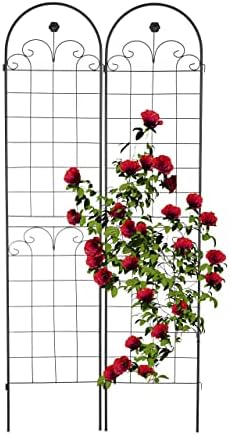 Relaxdays Rankgitter 2er Set, Metall, 180 x 50 cm, Rankhilfe Garten