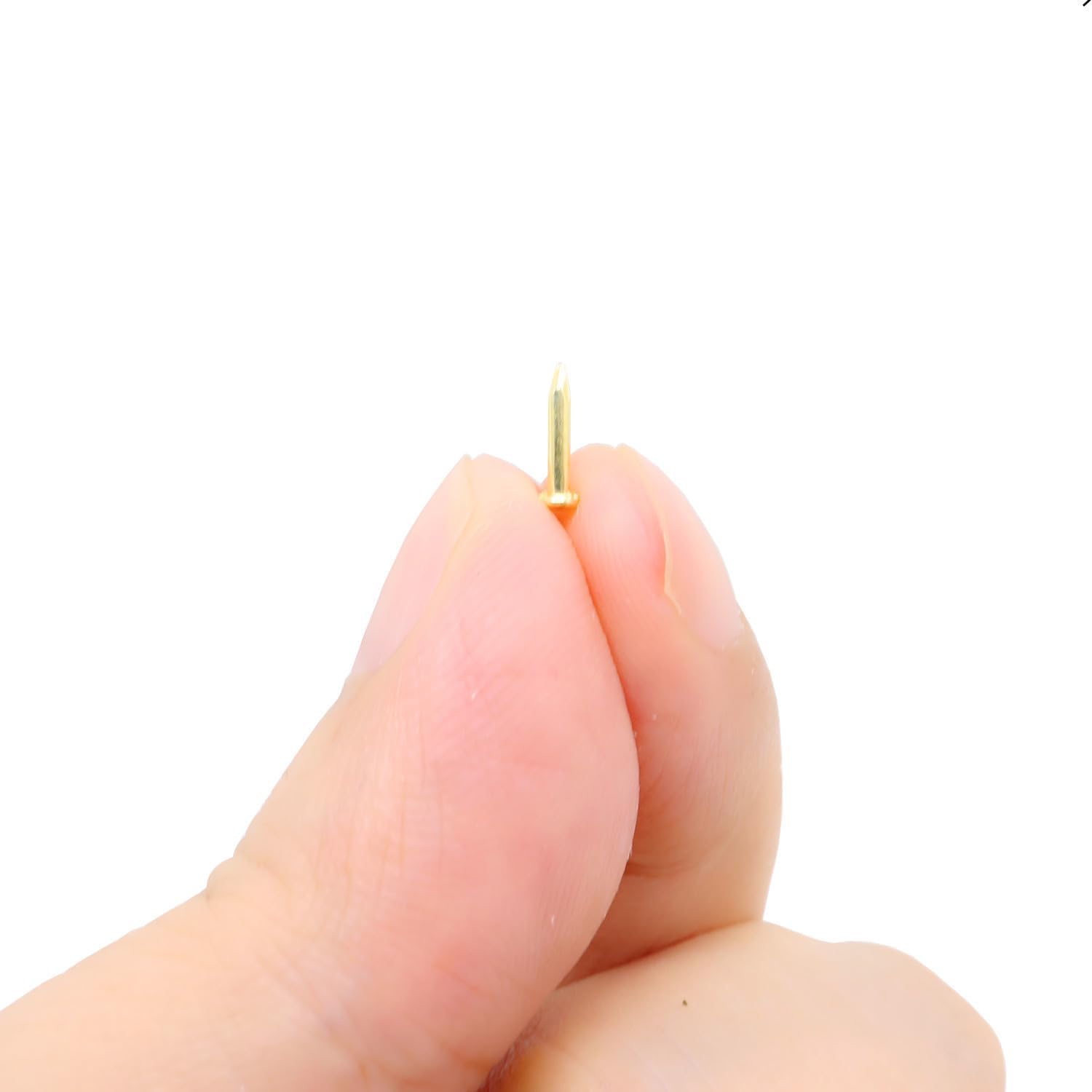 300pcs Small Tiny Nails 1.2 x 6mm,Round Hardware Mini Nails, for Wood DIY Decorative, Pictures Frames Hanging, Household Accessories, Outdoor Crafts, Brass Tone,0.05 x 0.24inch/6mm