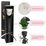 Zoom IMG-2 yamonic rosa stabilizzata regalo donna Zoom IMG-2 yamonic rosa stabilizzata regalo donna