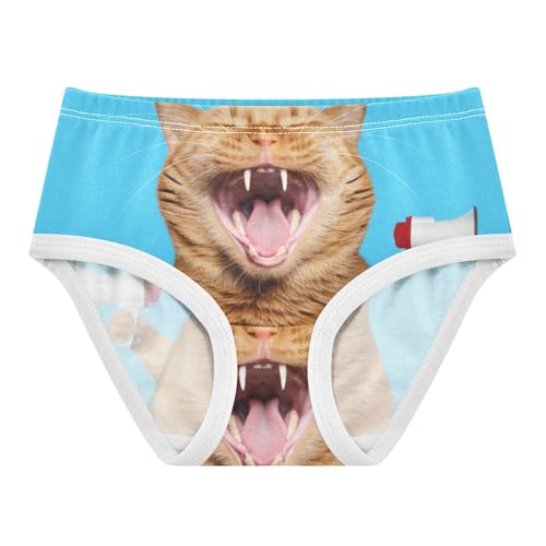 Funny Orange Cat Girl Panties Cute Girls Underwear Toddlers Cotton Fun Print Briefs Undies Kids 2t