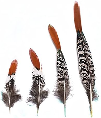 20Pcs Natural Pheasant Feather Crafts DIY Plume Wedding Party Feathers Hair Jewelry Making Carnival Headwear Decorations 5-30cm - 25-30cm to 10-12inch - Zamihalaa