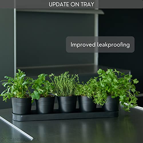 Scandinordica Black Herb Planter – 5 Herb Pots With Drainage Holes And Tray, Windowsill Planter, Indoor Herb Garden Planter Outdoor, Herb Pots For Indoor Plants | Windowsill Herb Garden #TOP5