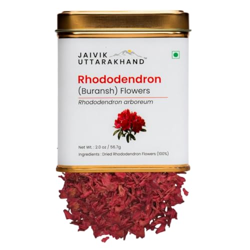Image of Jaivik Uttarakhand Rhododendron (Buransh) Tea 56.7 g, Dried Loose Leaf Red Flower, Sweet, Pack of 1 Tin Can