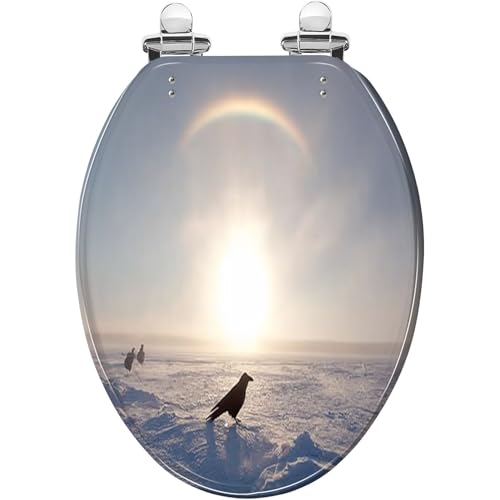 Elongated Toilet Seat Arctic Sundogs Parhelion Northwest territories Canada Resin