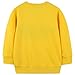 AIWUHE Toddler Boys Crewneck Sweatshirt Girls Long Sleeve Pullover Cartoon Print Green Sport Tops Shirts Cotton Yellow Crocodile 4T 8113