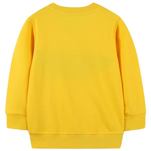 Image of AIWUHE Toddler Cotton Sweatshirt Boys Girls Pullover Long Sleeve Tops 2-6Y | Tops Blouse, Cotton T-Shirt, Fall Winter Clothes