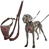 Halti No Pull Harness - Stop Your Dog Pulling on The Leash. Adjustable, Lightweight and Easy to Use. Reflective Dog Training Harness for Large Dogs Size L, Deep Walnut