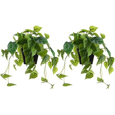 LuckyGreenery 2 Pack Artificial Scindapsus Aureus, Realistic Fake Plants with Plastic Pot for Home Office Bedroom Incoor Outdoor Decor(8in H) Cover