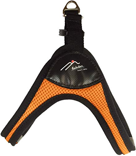 Hakusan(nNT) C[W[RtH[gn[lX IW 6XLTCY