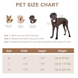 Giant Canine Door for Wall, Heavy Responsibility Canine Door with Aluminum Body and Telescoping Tunnel, Two Magnetic Flaps and Two Sliding Lock Panels, As much as 110lbs, Black.