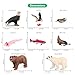 Volnau Safari Animal Figurines Toys 12PCS North America Figures Zoo Pack for Toddlers Kids Christmas Decoration Gift Preschool Educational Bald Eagle Bear Salmon Salamander Jungle Forest Cake Topper