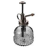 pompe a eau manuelle ancienne en cuivre Arrosoir vintage en verre : rechargeable, réutilisable, en verre écologique, léger et portable, un arrosoir pratique pour votre quotidien