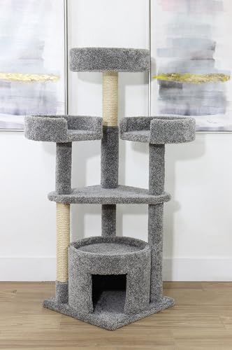 New Cat Condos 54