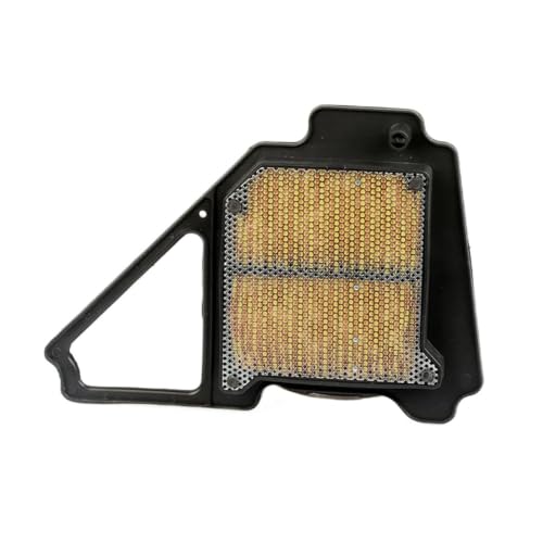 Filtre à air conique universel Yamaha YBR125 nettoyeur élément air moto 2008