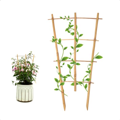 COLOtime 3Pack Bamboo Trellis 16 Inch Fan Shaped Small Plant Trellis for Indoor Potted Plants...