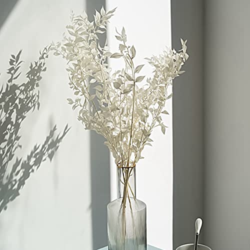 Ramo de Flores Preservadas Dried Ruscus 45 cm Blanco miniatura 6