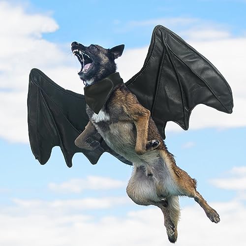Funny Bat Wing Costumes for Dog Cute Furry Pet Clothing for Halloween (Black bat Wing Size L)
