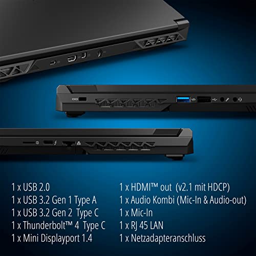 Medion Laptop Medion Erazer Defender P20 43,9 cm