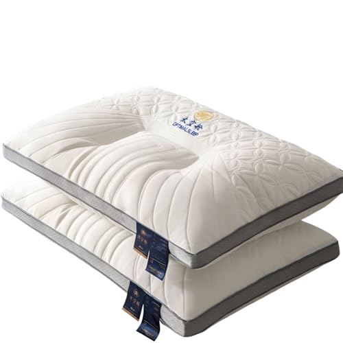 [Rjktmox]yebNXz yRہz ʋCX[oEh  lp K zep ? 48x74cm