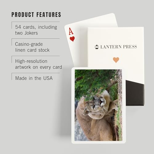 Lantern Press Cougar Crouching, 52 naipes poker miniatura 3