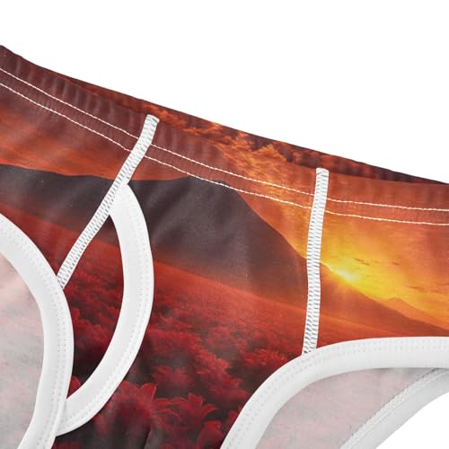 GuoChe Toddler Underwear Boys Cotton Red Lily Sunset Landscape in Sizes 2T,3T, 4T, 5T, 6Y and 8Y4