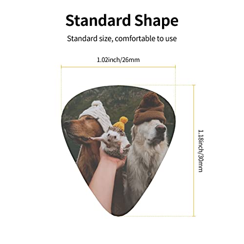Pack de 12 médiators pour guitare hérisson et chien pour guitare électrique guitare acoustique diverses guitares - Les Beatles, Paul McCartney, John Lennon, RIngo Starr, George Harrison Pack de 12 médiators pour guitare hérisson et chien pour guitare électrique guitare acoustique diverses guitares – Image 4
