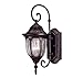 Savoy House 5-1500-52 Outdoor Sconce with Clear Seeded Shades, Bark and Gold Finish