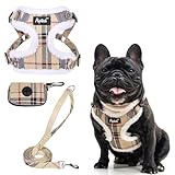 PUPTECK Dog Harness and Leash Set Medium Sized, Step in No Pull Adjustable Puppy Cat Harness Reflective Pet Vest