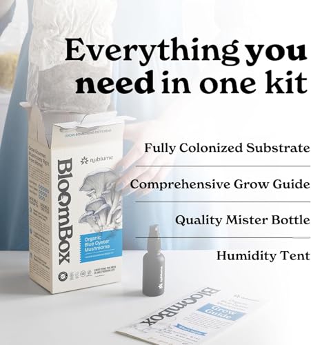 BloomBox Blue Oyster Mushroom Grow Kit – Ready to Fruit Indoor Gardening Gift – Organic Spawn Log for Fresh Fungi in 10 Days – Unique DIY STEM Science Project for Kids & Adults – Vegan Meat Substitute