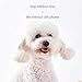 AOOOWER Interactive Dog Treat Puzzle Toy for Training Pet Slow Feeders Tray Puppy Educational Toy for Small Dogs