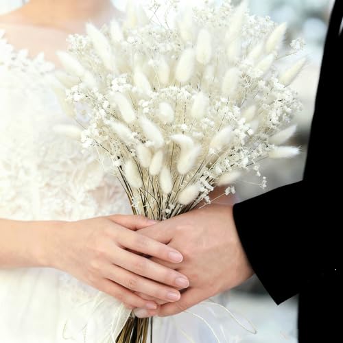 Ramo de Flores Secas Bunny Tails con Pampas y Neblina miniatura 5
